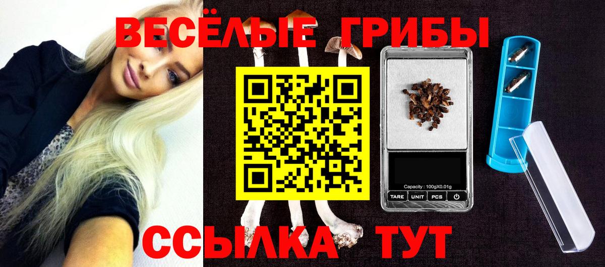 Псилоцибиновые грибы GOLDEN TEACHER Татарск