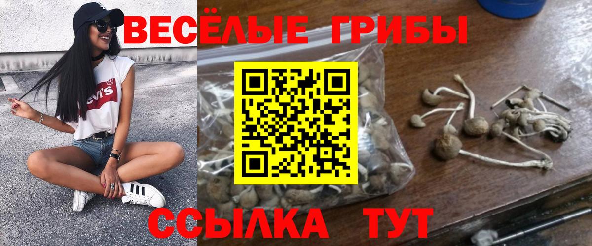 Псилоцибиновые грибы Psilocybine cubensis  Галлюциногенные грибы Magic Shrooms  Вход с VPN  Татарск 